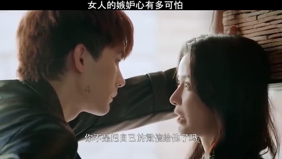 室内比较干燥，应该养什么花增加湿度-最全面的 室内比较干燥，应该养什么花增加湿度 红迪网平台